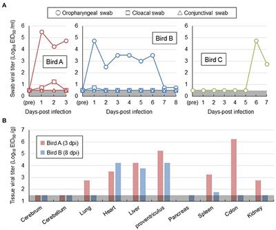 Experimental and natural infections of white-tailed sea eagles (Haliaeetus albicilla) with high pathogenicity avian influenza virus of H5 subtype